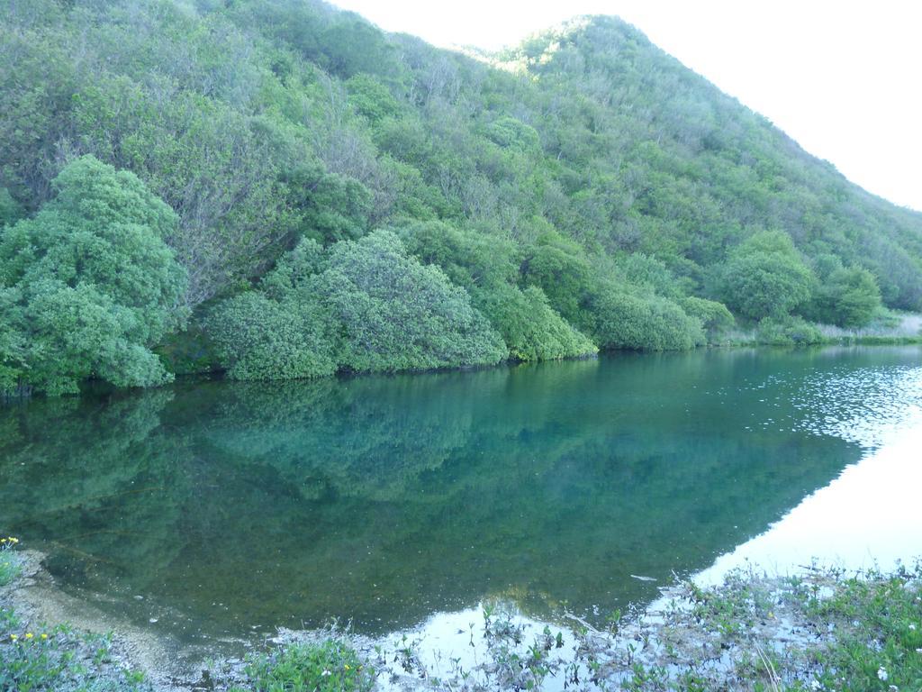 Gairloch View Bed & Breakfast Digg ห้อง รูปภาพ